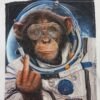 Majica – MM Studio Astronaut Monkey