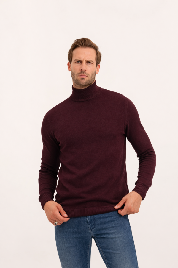 1577_vipstendo_2490_M,L,XL,XXL (1) Džemper – Vip Stendo – bordo rolka