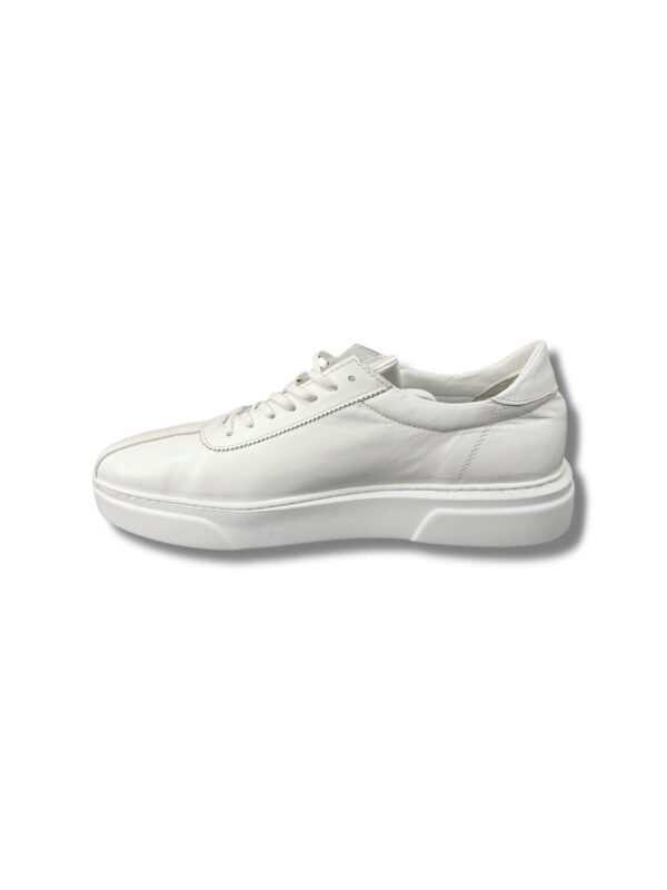 426-sardineli-10950(7665)-46 Patike – SARDINELI Classic White