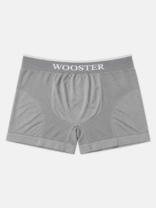 2a8f68ba-998b-4a63-ac28-5cb471e28484 Bokserice – Wooster – svetlo siva seamless