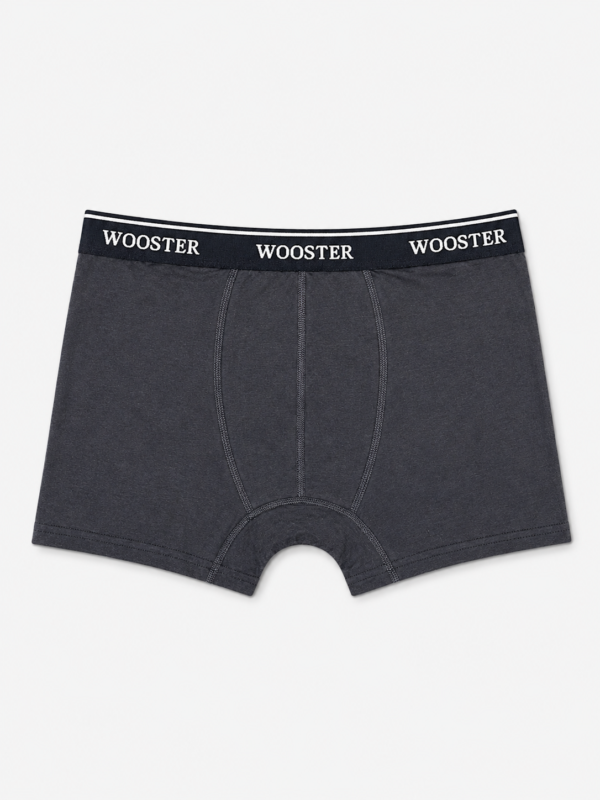 Bokserice – Wooster – tamno siva