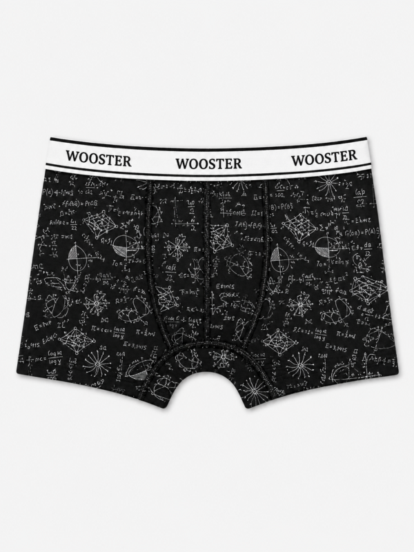 bc6f8ebd-3616-4491-b790-90812f9fd4e6 Bokserice – Wooster – crne sa printom