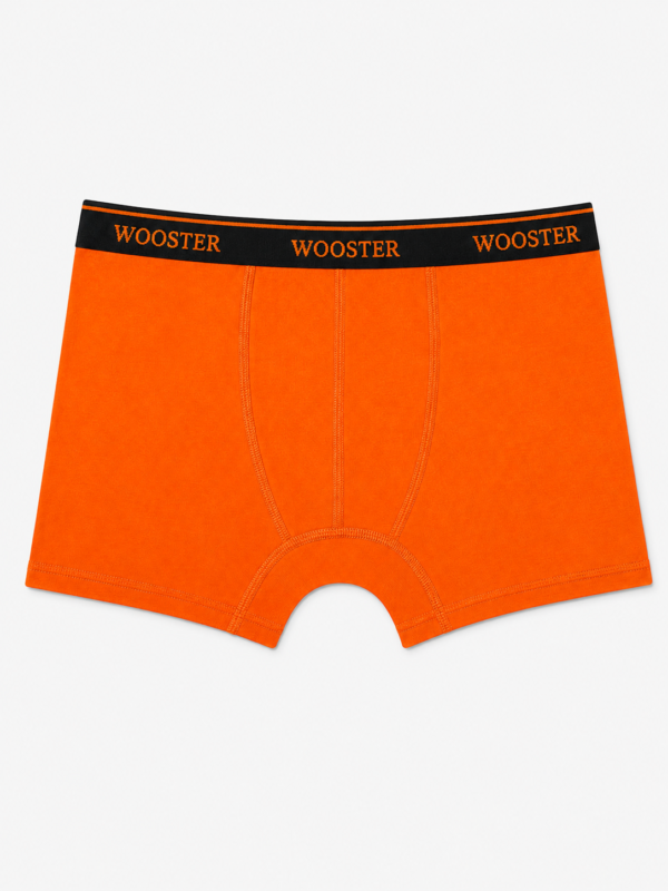 e150917a-4845-4dfe-9fef-fe5eae808097 Bokserice – Wooster – narandžasta